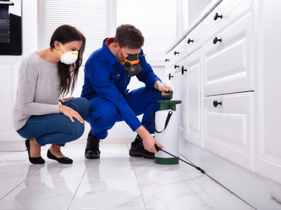 About Critdefensex Control - pest control experts in Fair Oaks