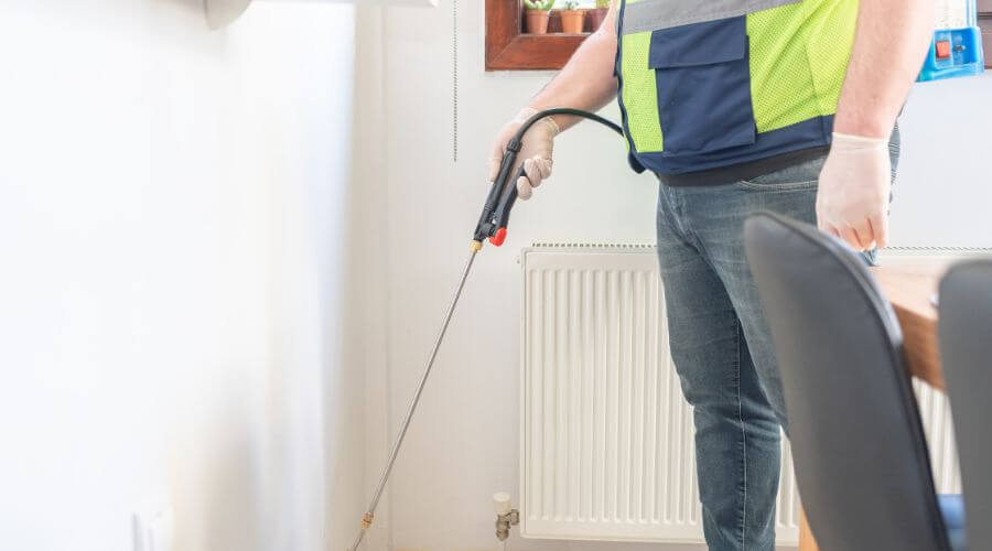 Professional pest control services in Fair Oaks